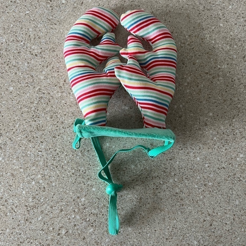 RAINBOW Dog Antlers